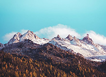 开云官网-开云平台——引领企业数字化转型的创新之路